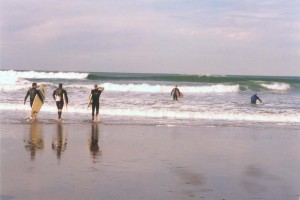 Surfers bearing Charlie Grimm's ashes out to sea, from left: John Kaplanis, Drew Barrington, Michael Martinovich, Dave Dyc and Joe Flahaven. Photo by Susan Reesink Black